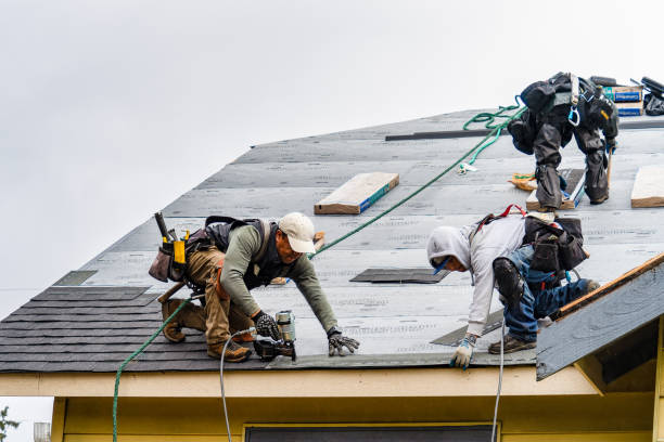 Professional Gutter Installation technician working in Greenville, VA